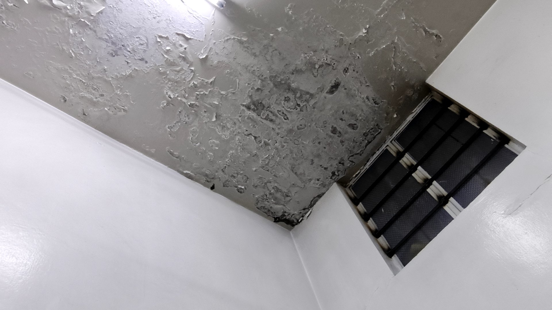 مضخة أولية للديزل